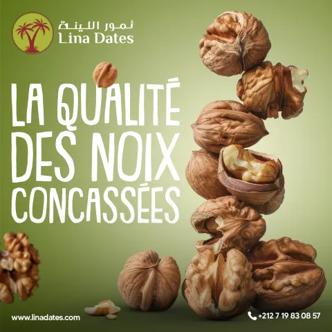 Lina Dates — visuel réseaux sociaux 7